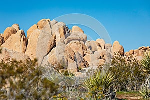 Rock formations in Joshua Tree National Park