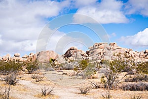 Rock formations in Joshua Tree National Park, south California