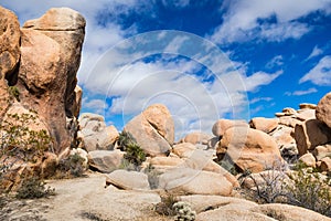 Rock formations in Joshua Tree National Park, south California