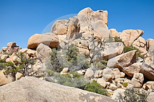 Rock formations in the Joshua Tree National Park, USA