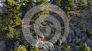 Rock formations landscape and evergreen Mediterranean forest. View from drone.