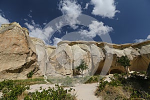 Rock Formations in Pasabag Monks Valley, Cappadocia, Nevsehir, Turkey