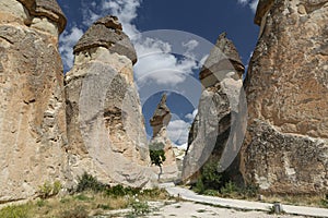 Rock Formations in Pasabag Monks Valley, Cappadocia, Nevsehir, Turkey