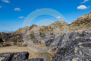 Rock Formations at Perranporth Beach, with Mussels Tethered to the Rocks