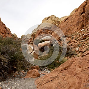 Rock Formations, Red Rock Conservation Area, Southern Nevada, USA