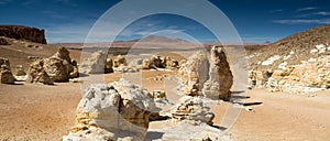 Rock formations at the Salar de Tara