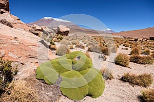 Rock formations at Salar de Uyuni, Bolivia