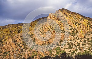 Rock Formations Seen From the Swartberg Pass