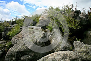 Rock formations in Szczeliniec Wielki in the Stolowe Mountains, the Sudeten range in Poland.