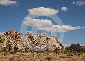 Rock Formations under a Beautiful Sky at Joshua Tree National Park, California