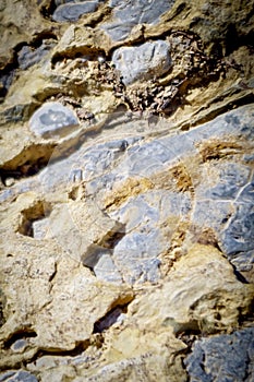 Rock Formations, Upper Bristlecone Loop Trail, Mt. Charleston, Nevada