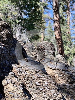 Rock Formations, Upper Bristlecone Loop Trail, Mt. Charleston, Nevada