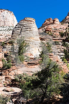 Rock formations at Zion National Park