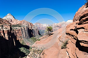 Rock formations at Zion National park - Utah, USA