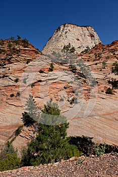 Rock formations in the Zion National Park, Utah, USA