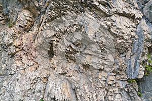 Rock fragment. Abstract background.