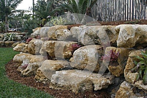 Rock garden