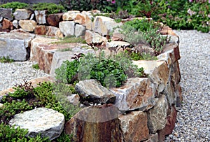 Rock garden photo