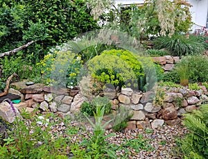 Rock garden