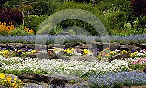 Rock garden with flowering perennials photo