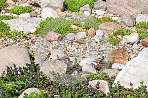 Rock garden. gardener backyard design element