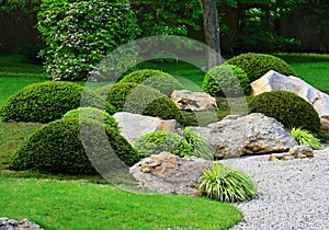 Rock-garden with low shrubs