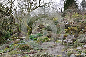 Rock Garden and Seat at Holehird Gardens near Windermere, Lake District, Cumbria, England, UK