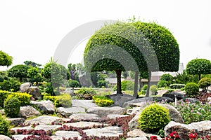 Rock garden with shrubs for garden decoration
