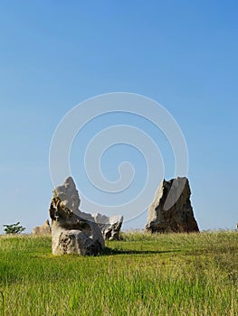 Rock garden with sky blue.