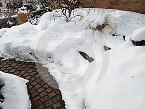 Rock garden, snow, winter