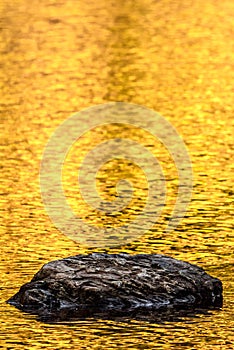 Rock and gold autumn lake reflections