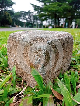 A rock on the green pastures