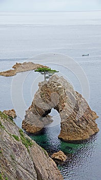 Rock with hole and tree near Tottori in Japan