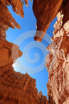 Rock Hoodoos in Bryce Canyon National Park in Utah