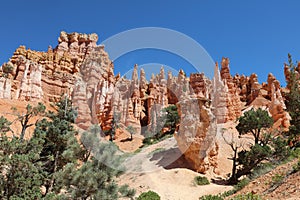 Rock Hoodoos in Bryce Canyon National Park in Utah photo