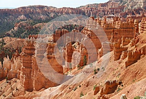 Rock Hoodoos in Bryce Canyon National Park in Utah photo