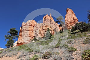 Rock Hoodoos in Bryce Canyon National Park in Utah photo