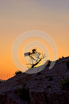 Rock island at golden sunset in Brela