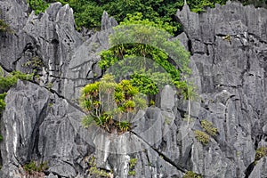 Rock islands near floating village in Halong Bay, Vietnam, Southeast Asia