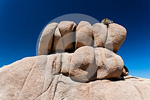 Rock at Joshua Tree National Park