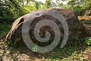 Rock in the jungle with petroglyph