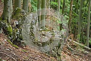 Rock in the L shape in the forest, Slovakia