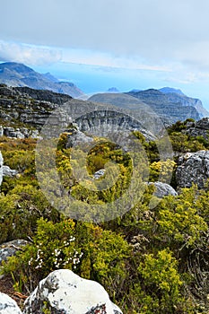 Rock and Landscape on Top of Table Mountain, Cape Town