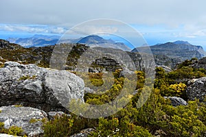 Rock and Landscape on Top of Table Mountain, Cape Town