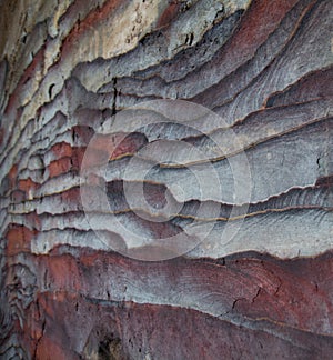 Rock layers - colorful formations of desert rocks