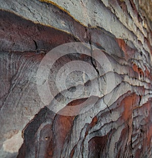 Rock layers - colorful formations of desert rocks