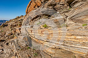Rock layers in metamorphic rock