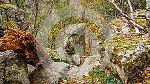 Rock Ledge With Scenic Drop Off