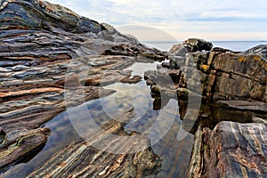 Rock ledges and tidal pools, Pemaquid Maine