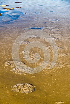 These rock like structures stromatolites on the edge of Lake Thetis are built by micro organisms too small for the human eye to